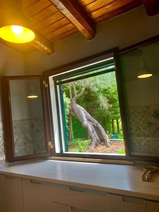 Casa Magnolia Lejlighed Augusta Eksteriør billede